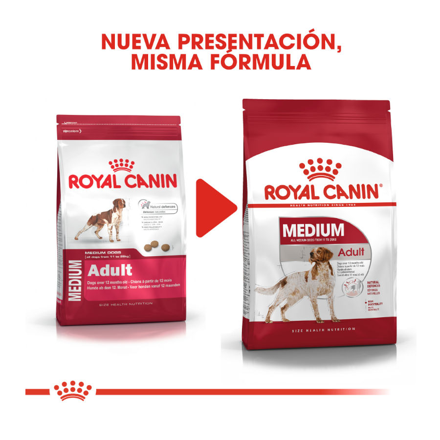 Royal Canin Adult Medium ração para cães, , large image number null